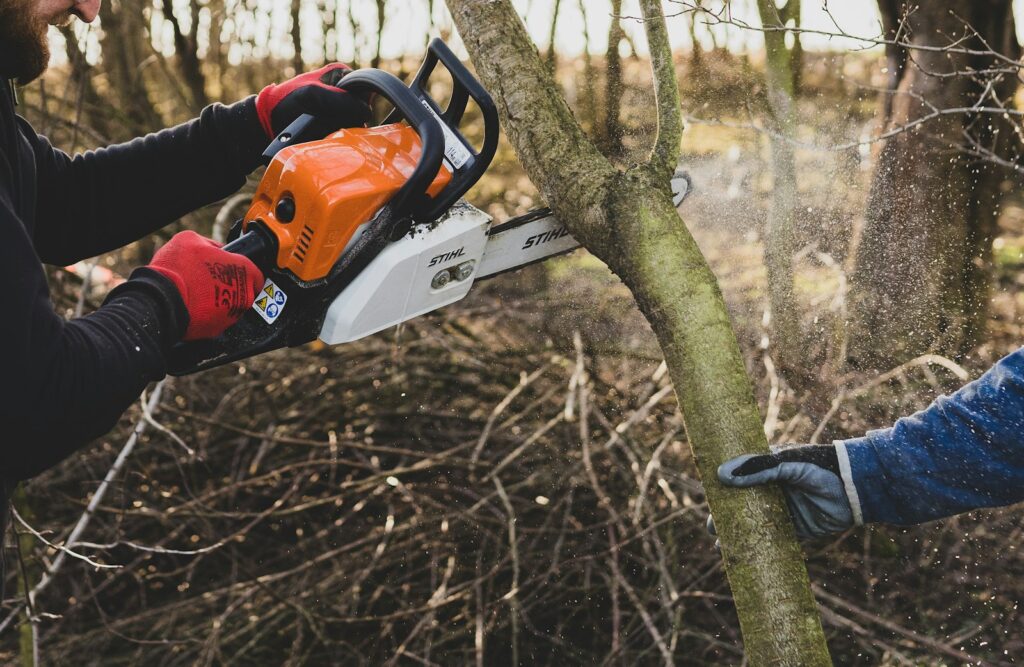 Arborist using a chainsaw to prune a tree branch - local SEO for tree service companies