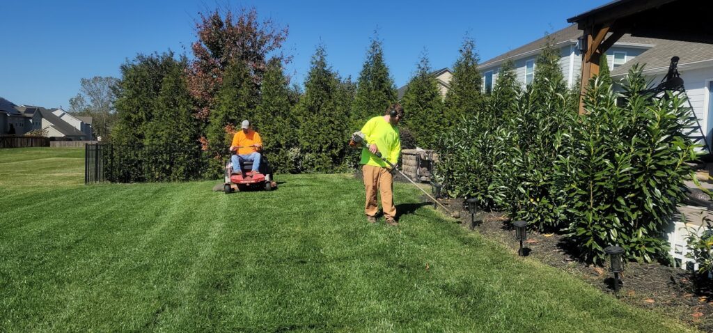 Crew performing lawn care alongside tree work - Google Business Profile categories for tree service companies